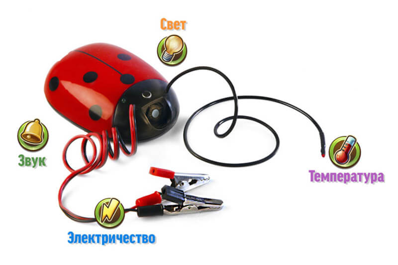 Ladybug sensor for Savanto lab